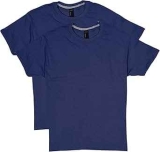 Hanes Men’s X-Temp Performance T-Shirt 2-Pack