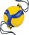 Mikasa Official Size Tethered Training Volleyball