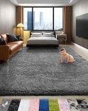 4×6-Foot Shaggy Rug