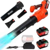 Cordless Leaf Blower with 2 Batteries