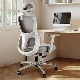 Hbada P2 Ergonomic Office Chair with 3D Lumbar Support