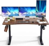55″ x 30″ Electric Standing Desk