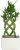 Costa Farms 12″ Lucky Bamboo Plant