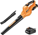 SnapFresh 20V Cordless Leaf Blower