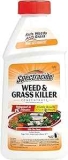 Spectracide Weed And Grass Killer Concentrate 16-oz. Bottle