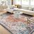 Artistic Weavers Odelia Vintage Bohemian 5×7-Foot Area Rug