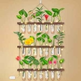 3-Tier Wall Hanging Propagation Station