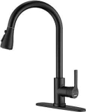 Kitchen Faucet with Pull-Down Sprayer