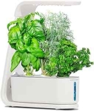 AeroGarden Sprout w/ Gourmet Herbs Seed Pod Kit