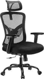 Huanuo Ergonomic Office Chair