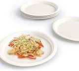 9″ Compostable Paper Plates 125-Pack