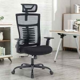 Asukale Ergonomic High Back Mesh Office Chair