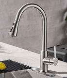 Inovix Single Kitchen Faucet with Pull Down Sprayer