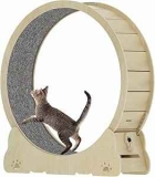 45″ Cat Exercise Wheel