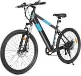 MultiJoy 36V Electric Bike