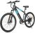 MultiJoy 36V Electric Bike