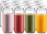 12-Pack Paksh Novelty Travel Glass Drinking Bottle 16-Oz $22.20