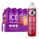 12-Pack Sparkling Ice Purple Variety Pack 17 Oz $10.43
