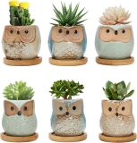 6-Pack Warmplus 2.5 inch Owl Succulent Plant Pots $15.99