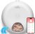 iPettie Donut Frost WiFi 6 Meal Automatic Cat Food Dispenser with App Control