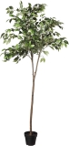 Amazon Basics Artificial Ficus Tree Fake Plant 63-Inch $28.30