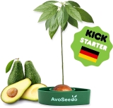 AvoSeedo Avocado Tree Growing Kit $8.96