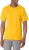 Champion Mens Unisex Cotton T-Shirt for Men & Women $4.90