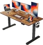 Fezibo Height Adjustable Electric Standing Desk