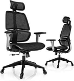 Linsy Home Ergonomic Office Chair