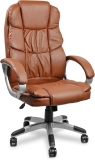 Halter Ergonomic High Back Executive Office Chair w/Lumbar Support $113.99