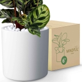 Mindful Pots 6 inch Plant Pot for Indoor Plants $9.99