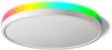 Taloya 24W 12-inch LED RGB Smart WiFi Ceiling Light $26.38