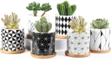 ZOUTOG 3 inch Ceramic Mini Succulent Planter Pot $18.99