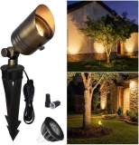 Coloer 12V LED Outdoor Spotlight