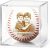 Personalized Photo Baseball