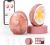 Momcozy Wellness 1 Wearable Breast Pump