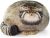 Steppe Cat 50cm Stuffed Animal Pillow