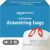 Amazon Basics Tall Kitchen 13-Gallon Trash Bag 200-Count