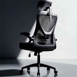Ergoreal Ergonomic Mesh Office Chair