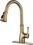 WEWE Gold Kitchen Sink Faucet with Pull Out Sprayer $97.19