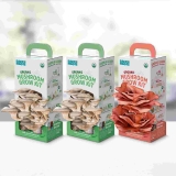 3-Pack Back to the Roots Organic Mushroom Grow Kit $35.99