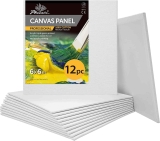 12 Pack PHOENIX 12.3 Oz Professional Canvases 6×6 Inch $9.09