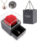 Preserved Real Red Rose w/ I Love You Necklace $23