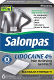 Salonpas 6-Count Back Neck Shoulder Knee Pain Gel-Patch  $6.08