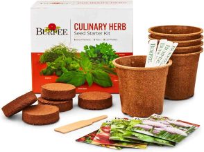 Burpee Culinary Garden Starter Kit $16