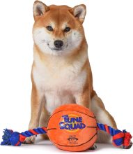 Looney Tunes Space Jam 2: Basketball Rope Pull Dog Toy  $3.00