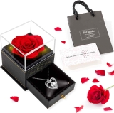 Allinside Preserved Red Real Rose with Heart Necklace $13.49