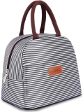 Women’s Insulated Lunch Bag  $11.99